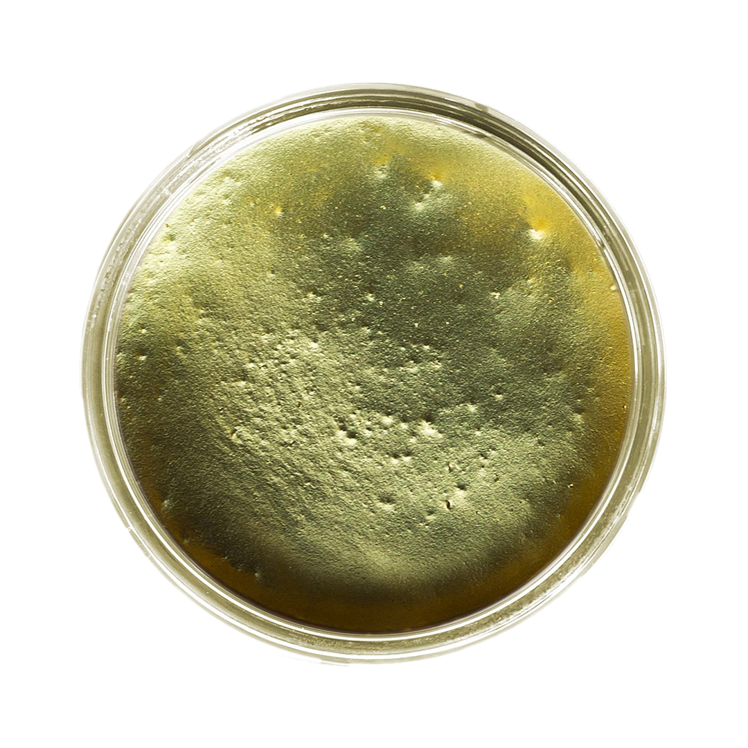 resi-TINT MAX Perlglanz Pigmentpaste Aztec Gold 50g