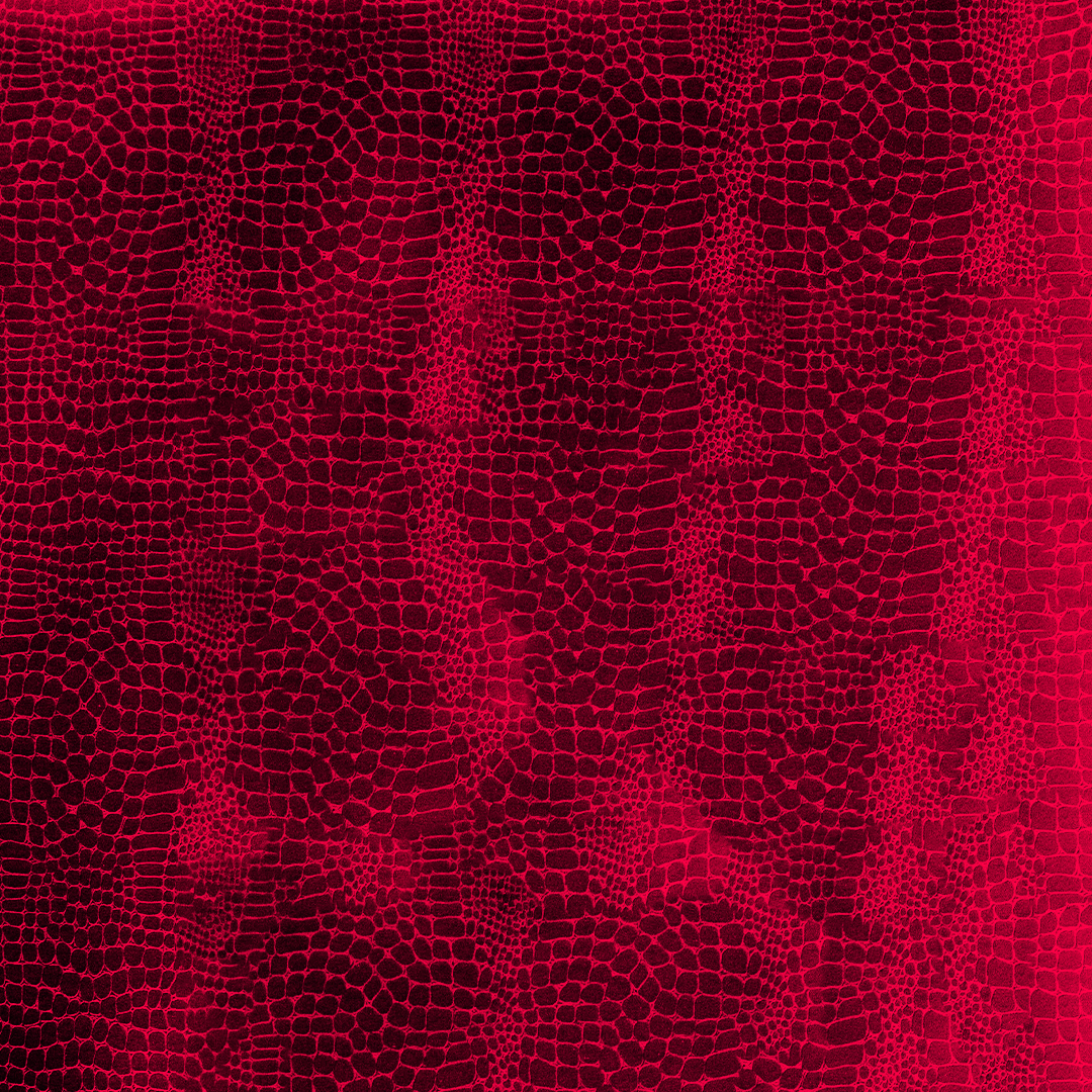 Prägepapier Croco Red in 2 Größen